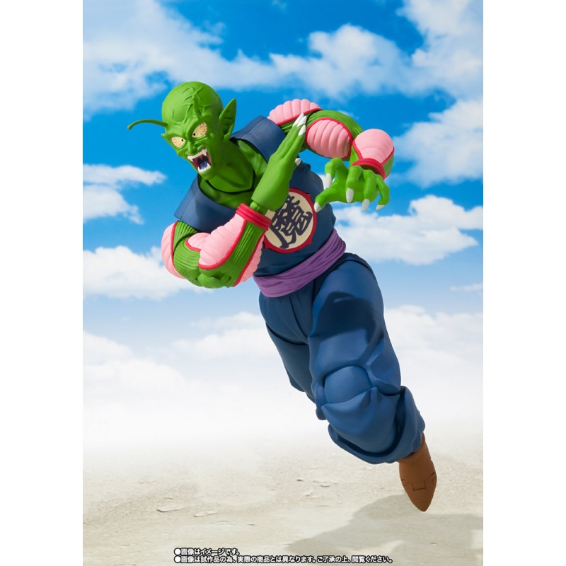 piccolo shf